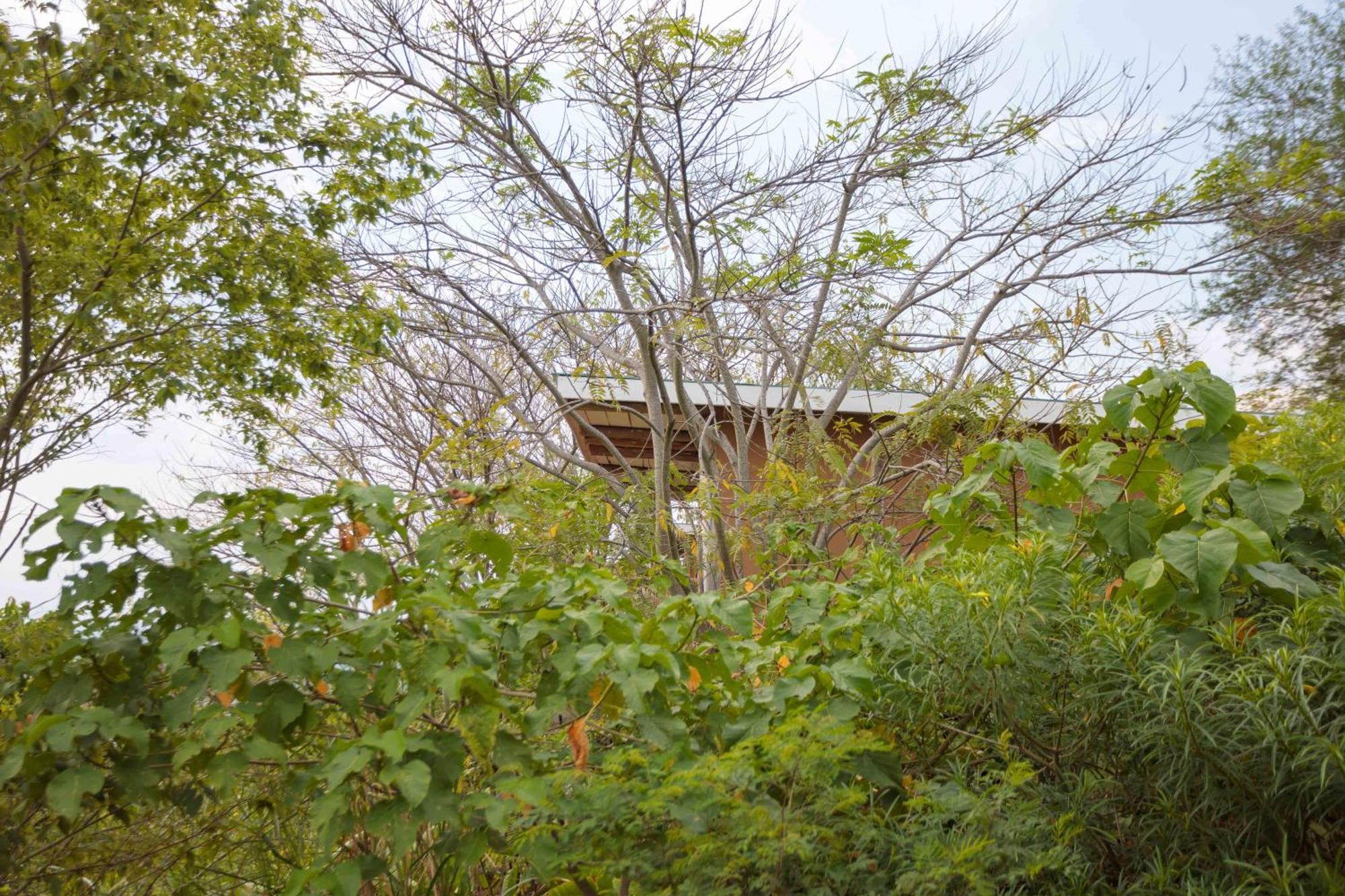 Lake Mwamba Lodge Kasenda Buitenkant foto